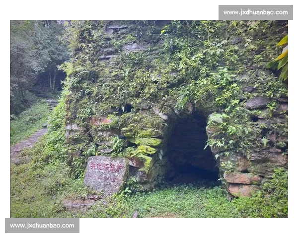 探秘神秘哀牢山腹地揭示高原生态奇观与民族文化传承之旅