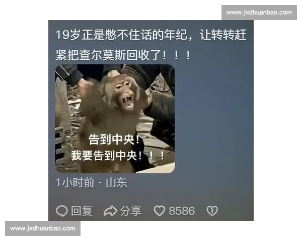 逆转！里尔上演绝地反击，让对手望尘莫及！